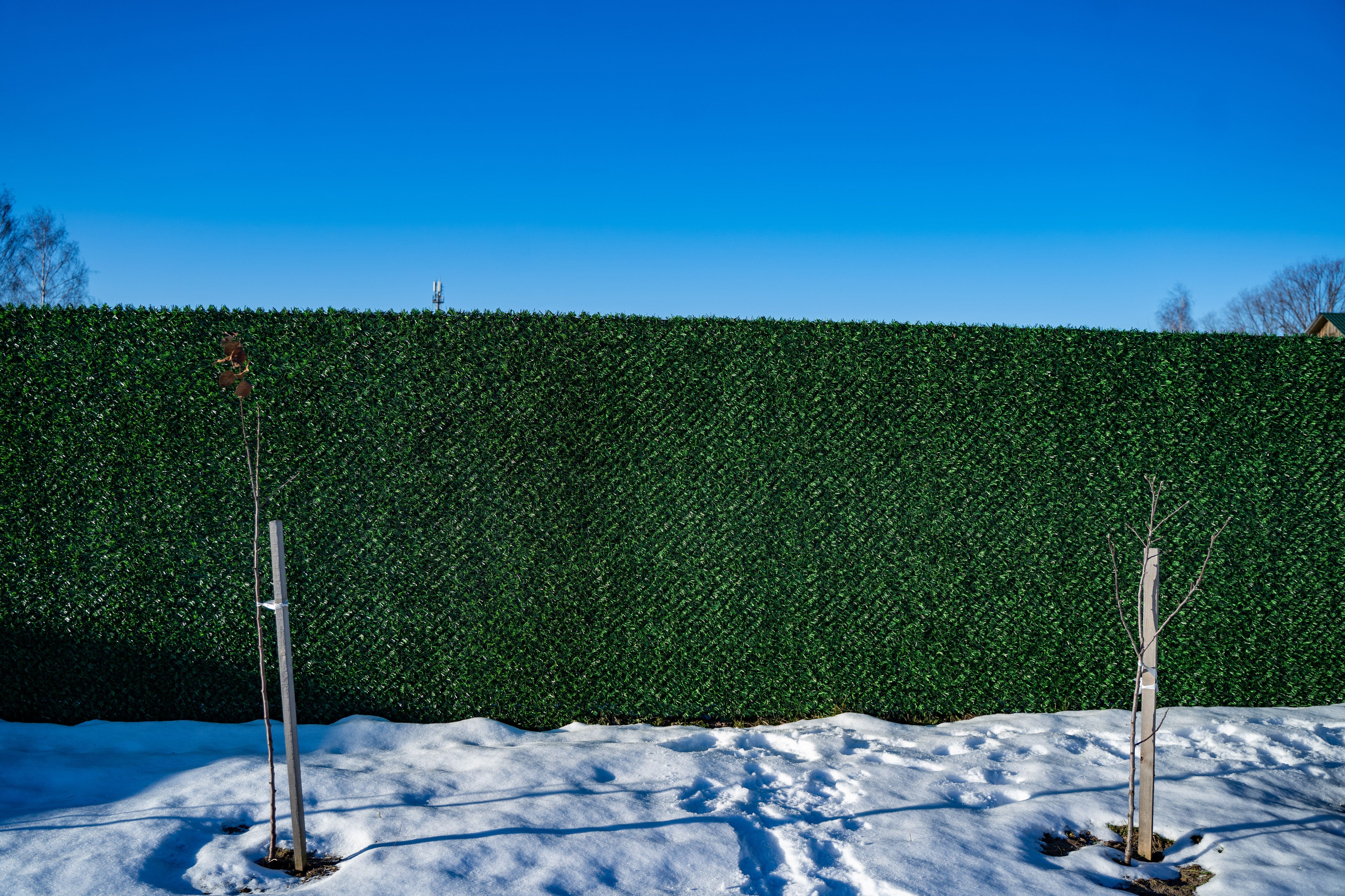 Вечнозеленый забор Grass Fence рулон 2м фото 8 в Элисте